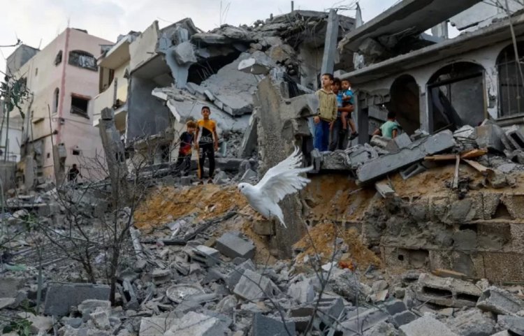 Israel Gempur Gaza: 70 Masjid dan 7 Gereja Hancur, 22 Rumah Sakit Lumpuh, PBB Ingatkan Tak Ada Tempat yang Aman